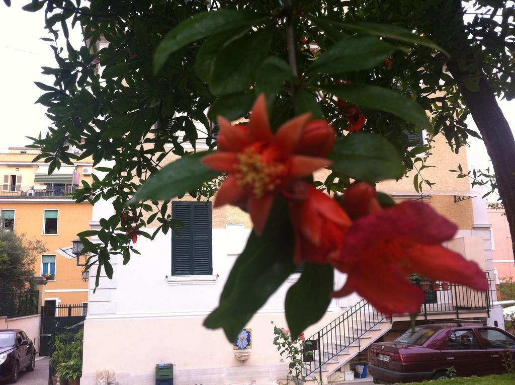 Bed and Breakfast Aristocarli Рим Екстер'єр фото